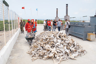Birleşmiş Milletler 'Kara Kıta'da da çuvalladı Birleşmiş Milletler 'Kara Kıta'da da çuvalladı