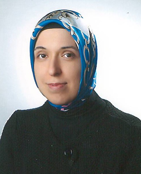 THY Yönetim Kurulu'na 2 yeni üye seçildi THY Yönetim Kurulu'na 2 yeni üye seçildi