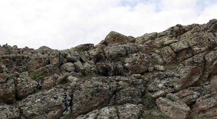Sloganları tek atış, tek ölüm Sloganları tek atış, tek ölüm