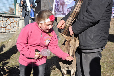 Artvinli Melek keçisine kavuştu Artvinli Melek keçisine kavuştu