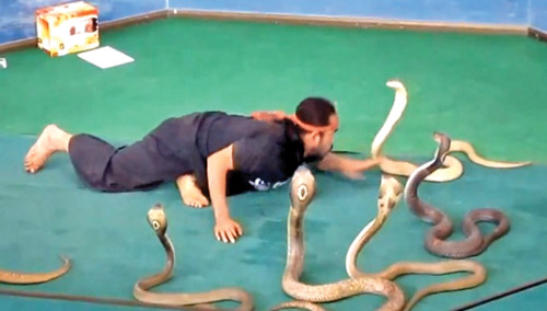 Adrenalin tutkunları Adrenalin tutkunları