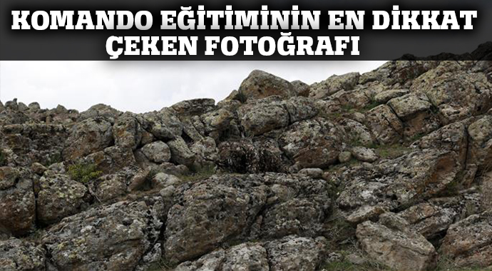 Sloganları tek atış, tek ölüm Sloganları tek atış, tek ölüm