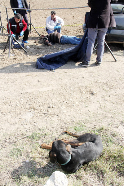 Av köpeği, sahibinin cesedinin başından hiç ayrılmadı Av köpeği, sahibinin cesedinin başından hiç ayrılmadı